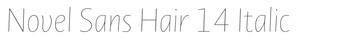 Novel Sans Hair 14 Italic